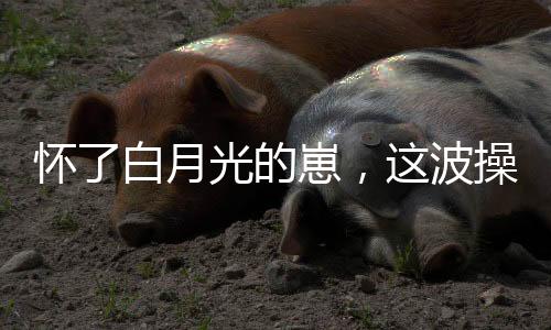 《致命偏宠》全文在线阅读
