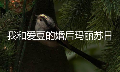 《许你万丈光芒好》全文在线阅读