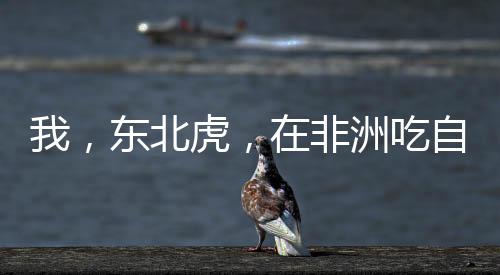 《致命偏宠》全文在线阅读
