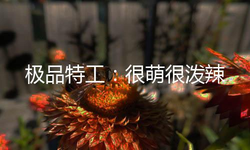 《疯批美人有小岛，年代大佬宠上心》全文在线阅读