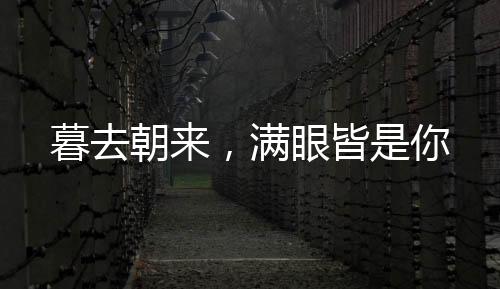 《腰软知青在年代和忠犬糙汉贴贴》全文在线阅读