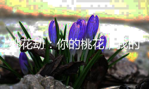 《被夺一切后她封神回归》全文在线阅读