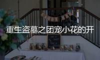 重生盗墓之团宠小