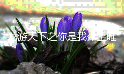 《暗黑系暖婚》全文在线阅读